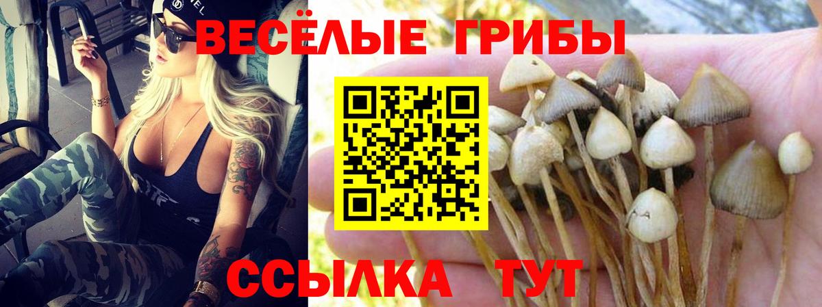 Псилоцибиновые грибы Cubensis  Псилоцибиновые грибы мицелий  Вход с VPN  Урус-Мартан 