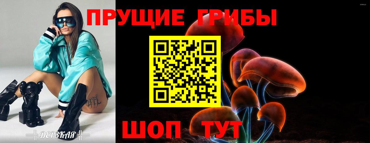 Галлюциногенные грибы мицелий Урус-Мартан